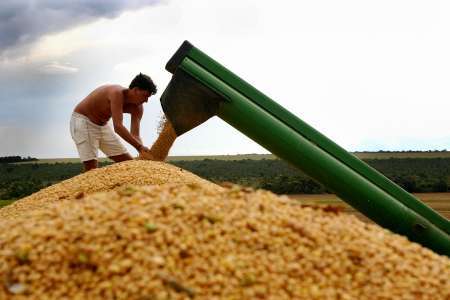 Resultado de imagem para / Notícias / Soja Exportação de farelo de soja tem alta de 76,1% na comparação anual