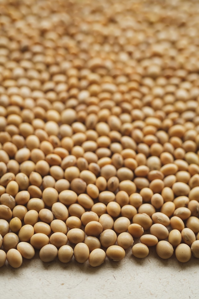 Produtores dos EUA pedem fim de tarifas chinesas sobre soja