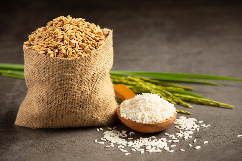 Conab negocia 109,2 mil toneladas de arroz em operações de Contrato de Opção de Venda