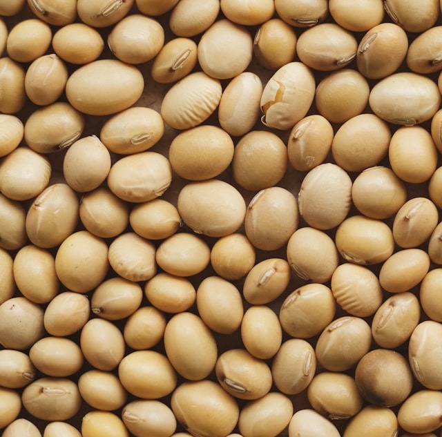 Mercado da soja sente impacto externo e saca cai para R$ 116,50 em MT