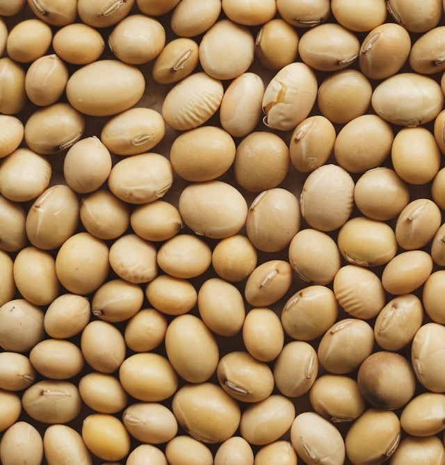 Com plantio mais rápido da história, PR puxa ritmo da semeadura de soja no país