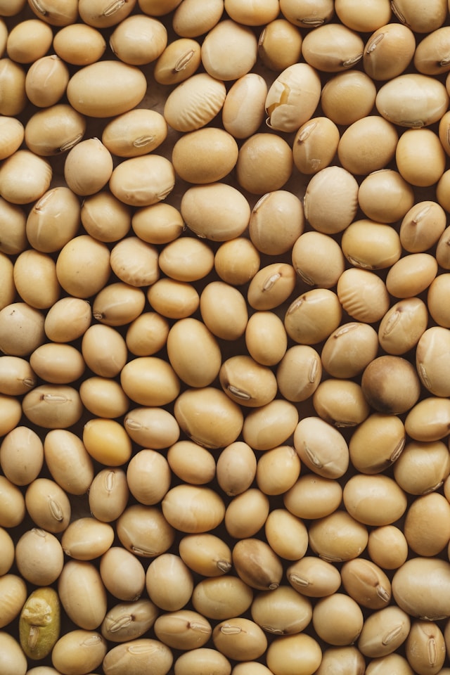 Soja/Cepea: Liquidez aumenta, mas preços seguem em queda