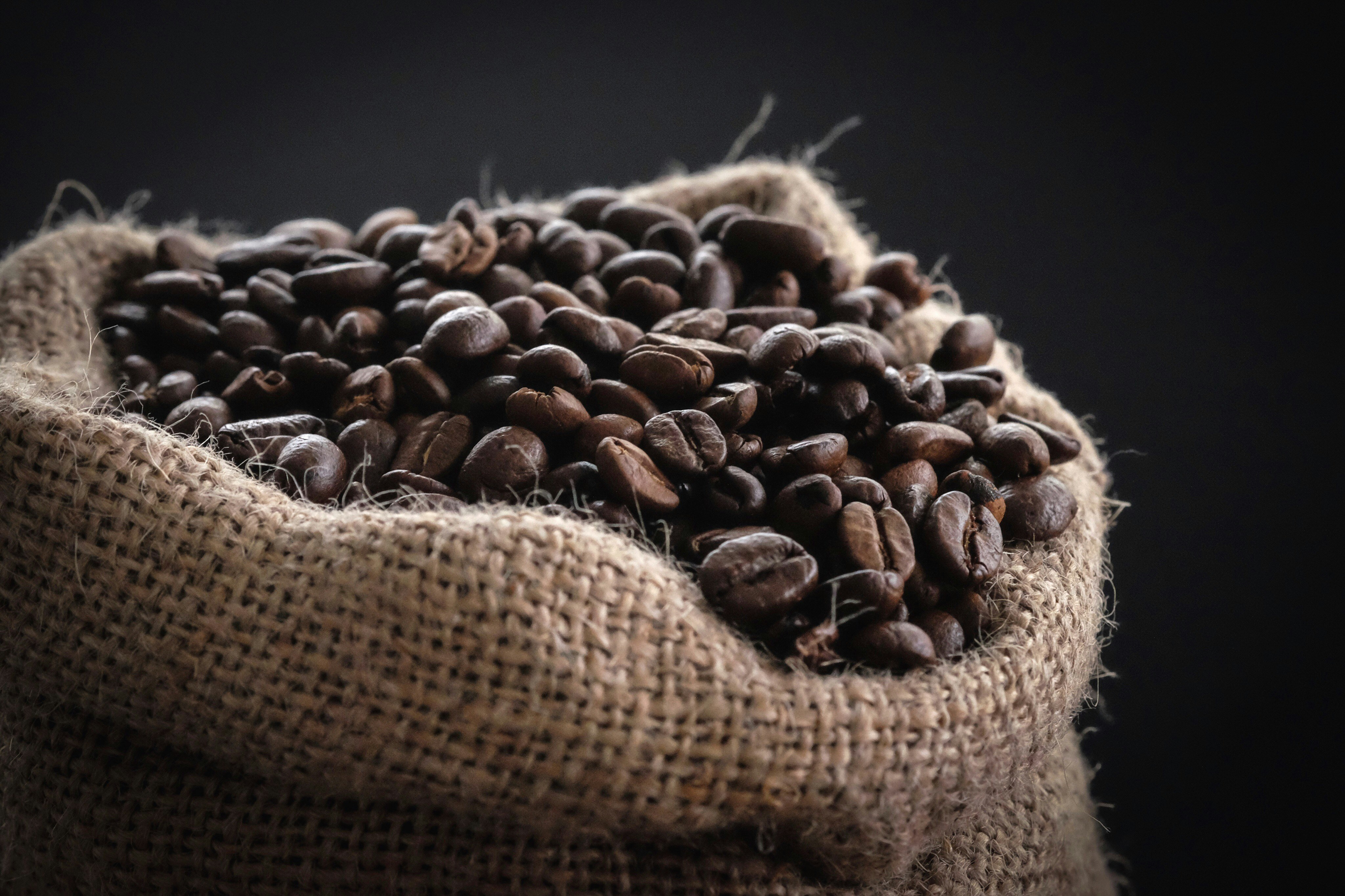 Clima e colheita ditam os rumos do café no início da semana