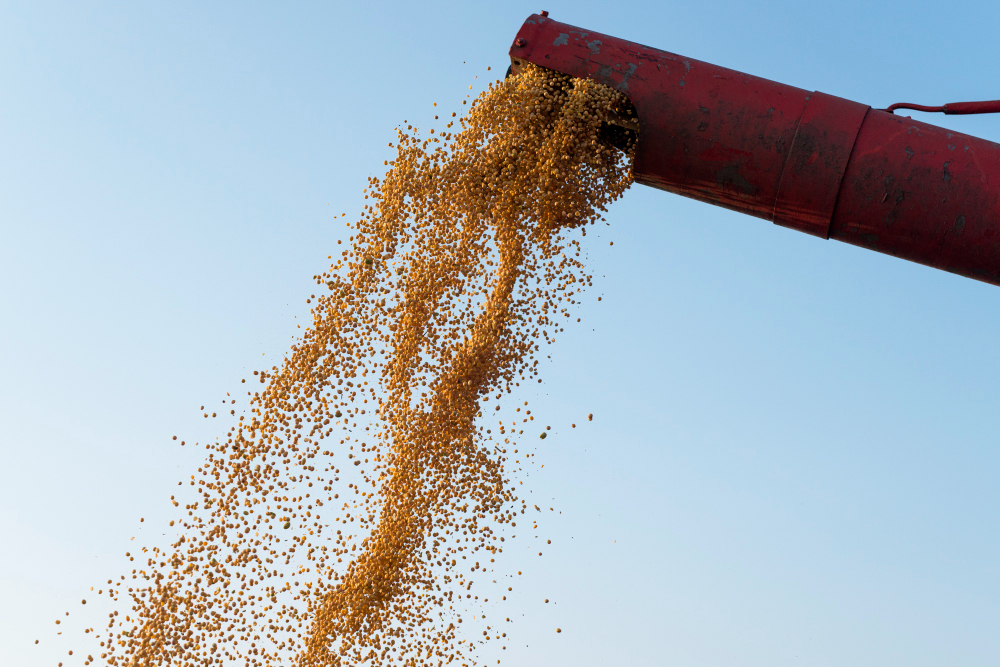 Mercados agrícolas iniciam dia com viés positivo