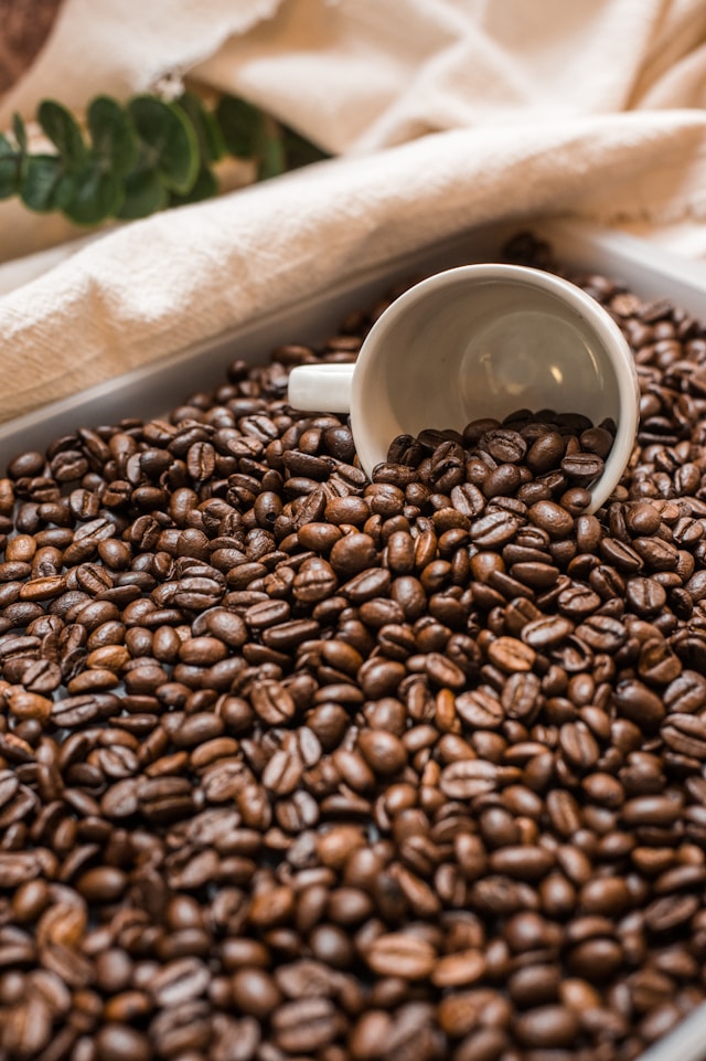 Chuvas atrasam colheita e elevam preços do café