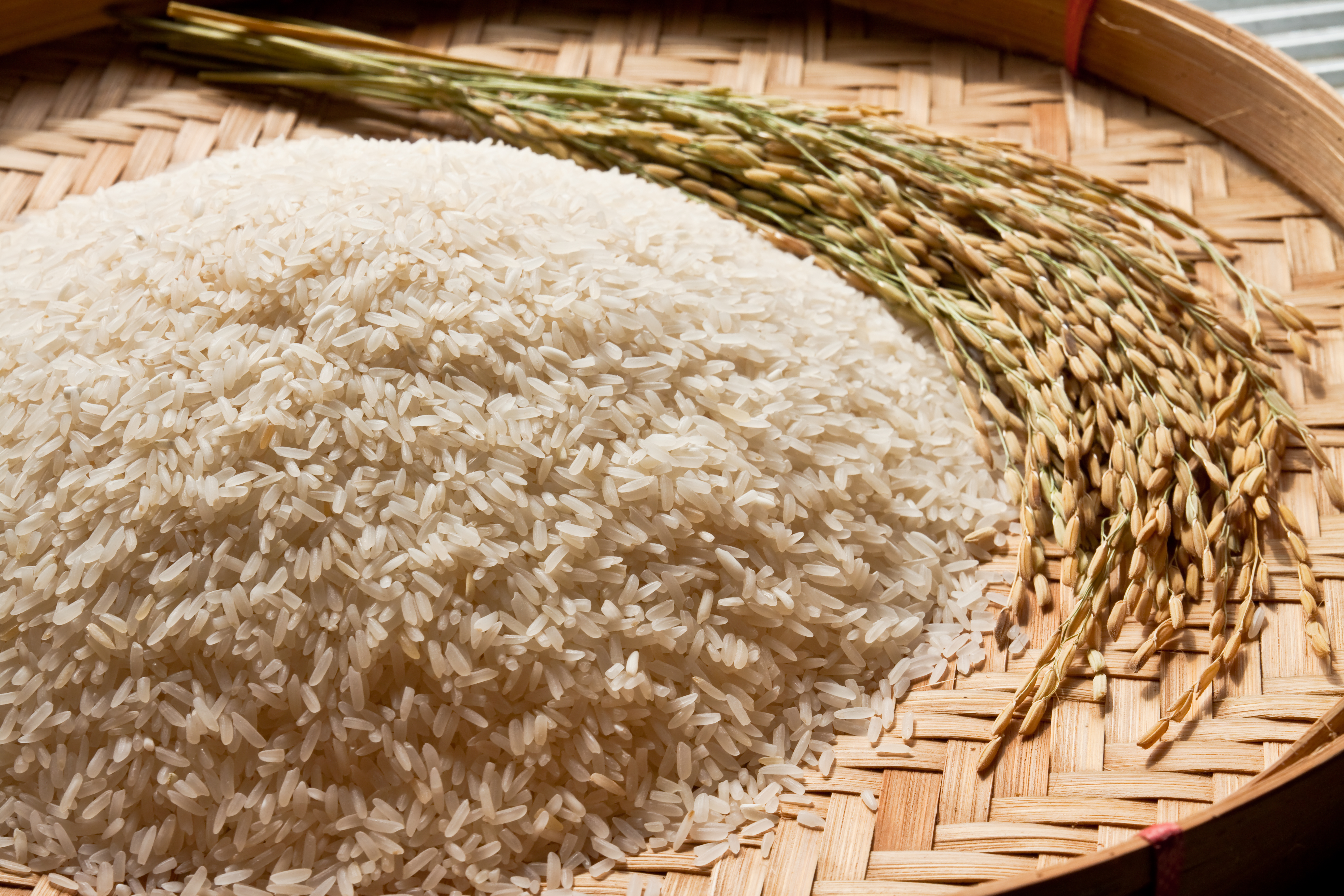 Risco futuro ganha peso nos preços do arroz