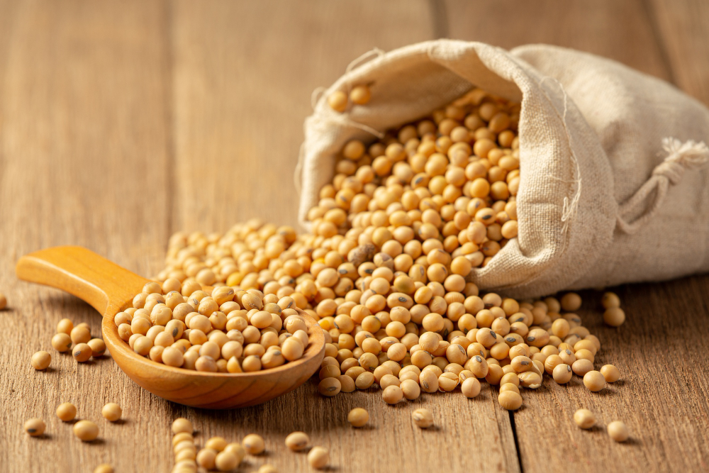 Mercado de soja tem baixa liquidez no interior