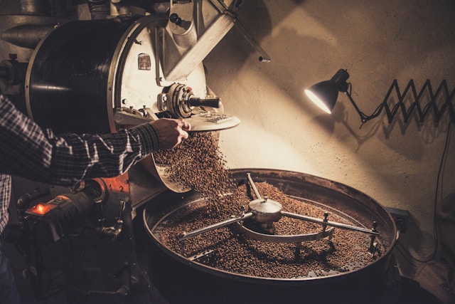 Colheita avança e preço do café volta a subir