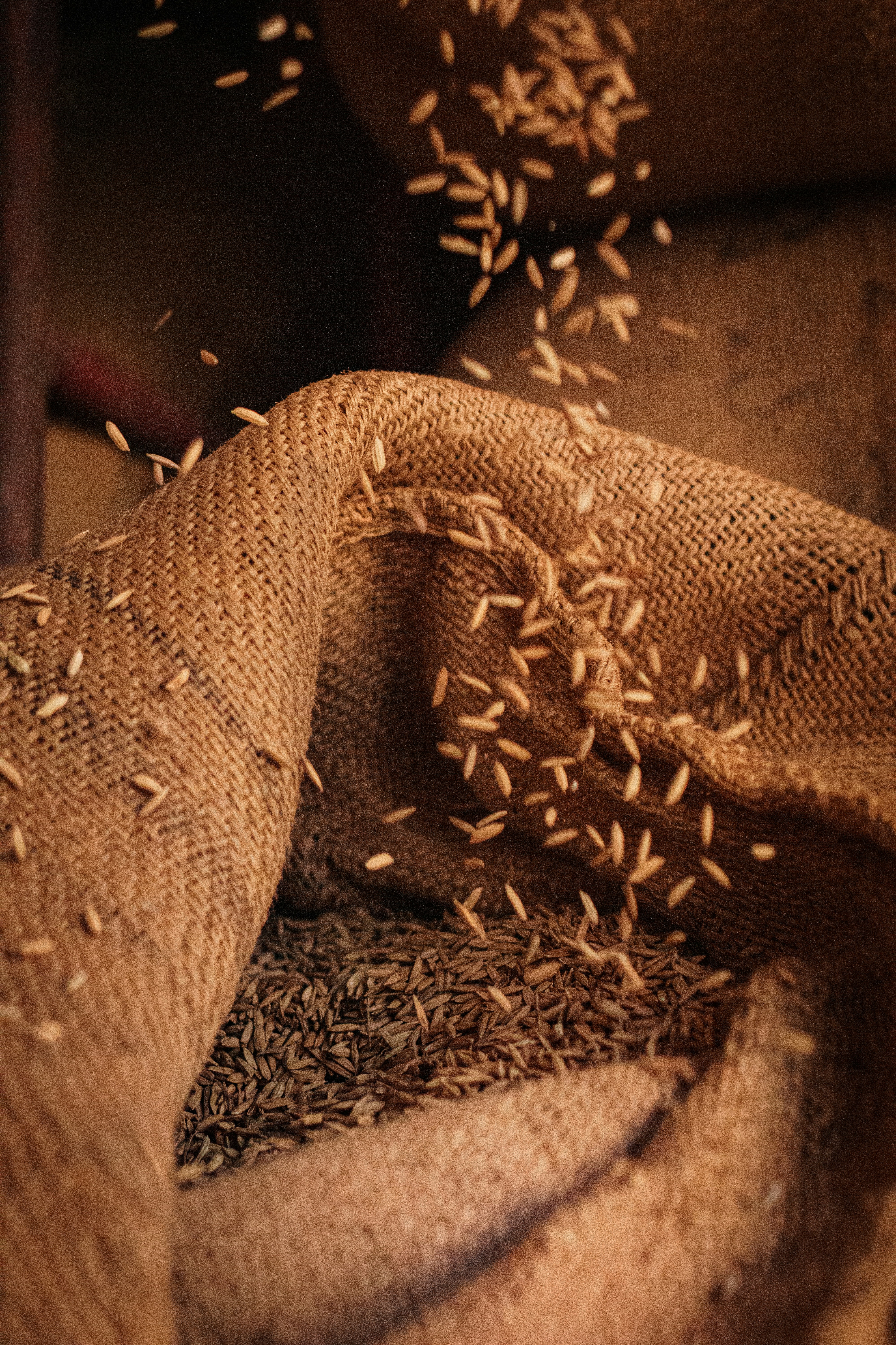 Oferta menor sustenta alta do arroz em casca no Rio Grande do Sul