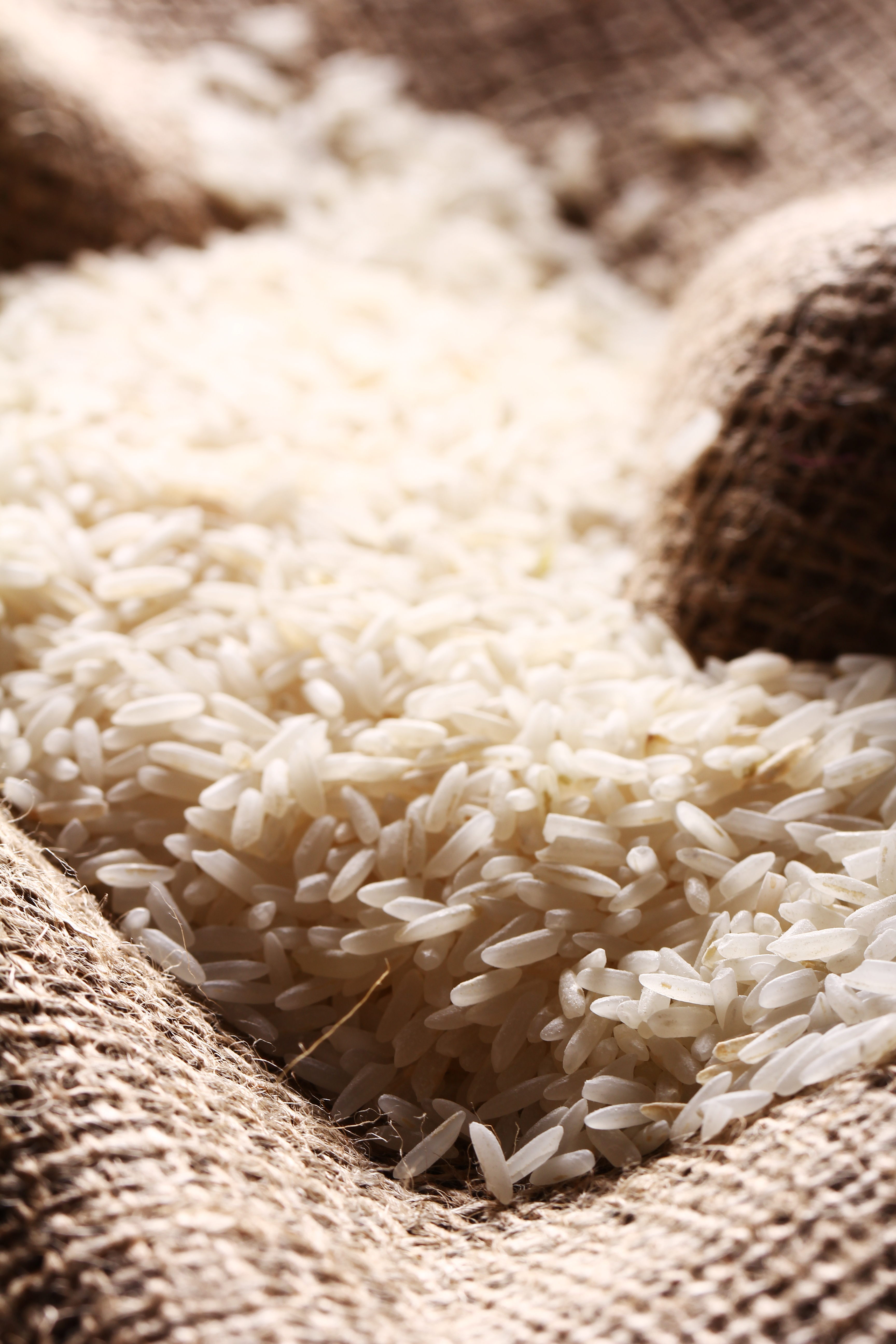 Arroz fecha dia com movimentos distintos nos preços