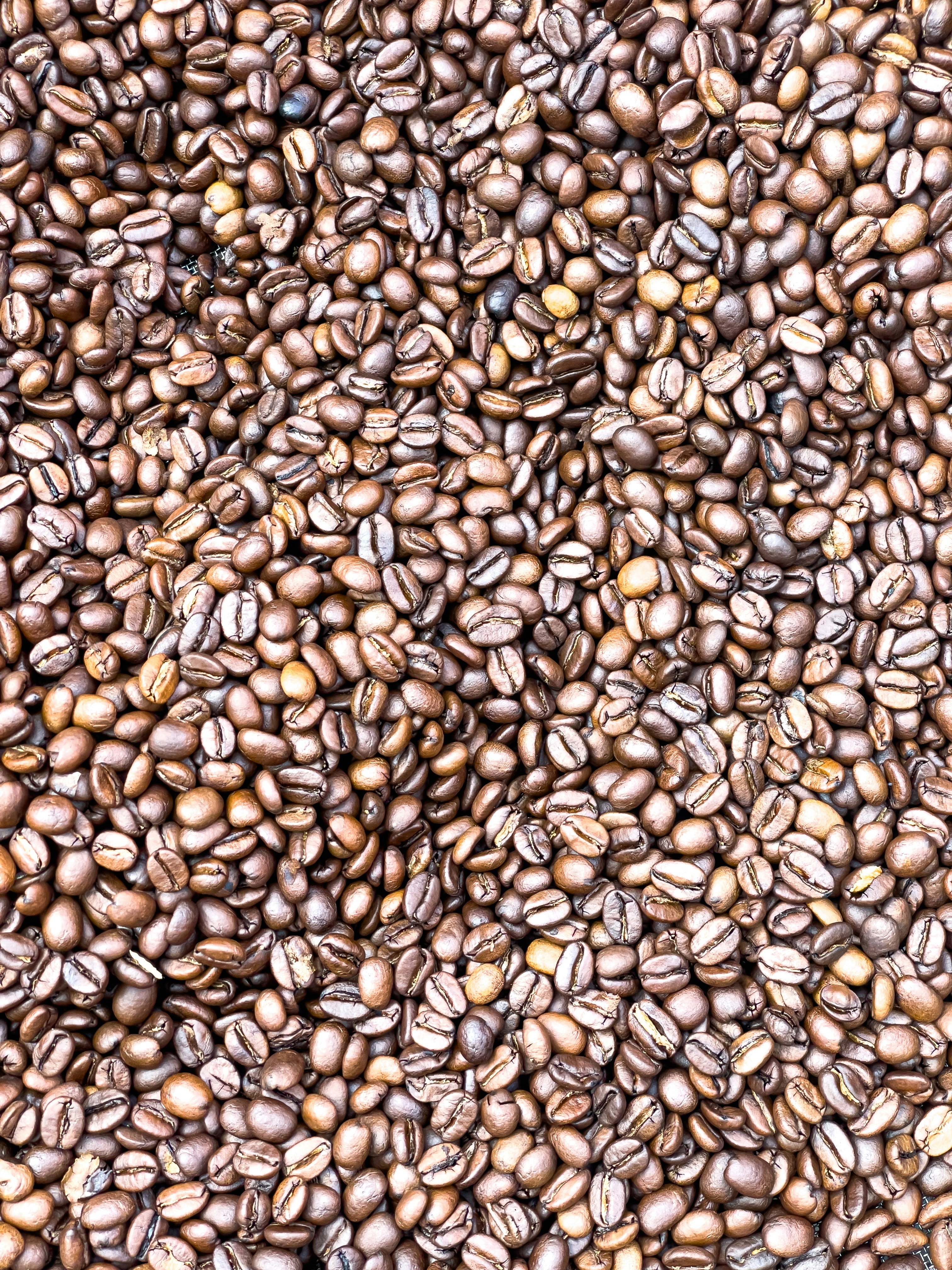 Mercado do café tem alta no arábica e queda no robusta